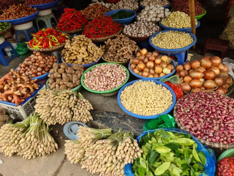 Rooted in the Land: What India's Ancient Spice Trade Can Teach West Virginia's Local Food Movement